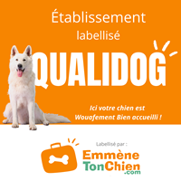 Visuel label QUALIDOG camping le vieux port 5 étoiles dans les landes accepte les chiens et les chats dog friendly vacances en famille avec vos compagnons à pattes