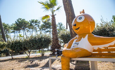 Banc Soly au camping 5 étoiles le Vieux Port dans les Landes 