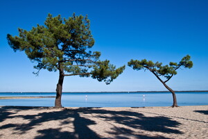 Tranquillité des lacs landais au mois de Juillet