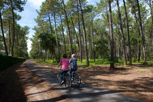 Balade en vélo sur les pistes cyclables des Landes