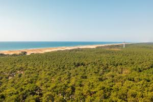 Forêt de Messanges et vue sur le littoral landais