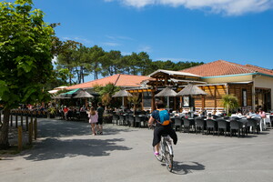 Restaurant camping le Vieux port 5 étoiles dans les Landes