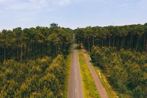 Pistes cyclables de la Vélodyssée qui traverse la forêt des Landes 