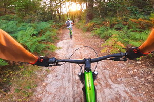 Balade en VTT sur des chemins de forêt dans les Landes