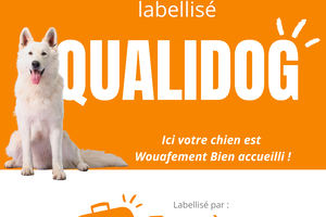 Visuel label QUALIDOG pour communication web un séjour confortable et dog-friendly au camping des Landes en bord de mer