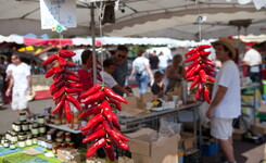 Blog marchés de l'été proche du camping le Vieux Port 5 étoiles dans les Landes 