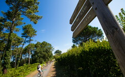 Blog les landes à vélo au camping le Vieux Port 5 étoiles dans les Landes 