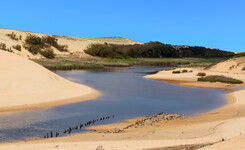 moliets-et-maâ le courant d'huchet les landes nouvelle aquitaine france embouchure amazonie landaise plage dune vegetation ciel bleu calme paisible